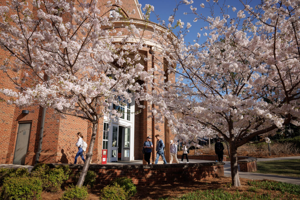 ee-sustainability-3 A pair of cherry trees with pink and white leaves in front of a brick college building.